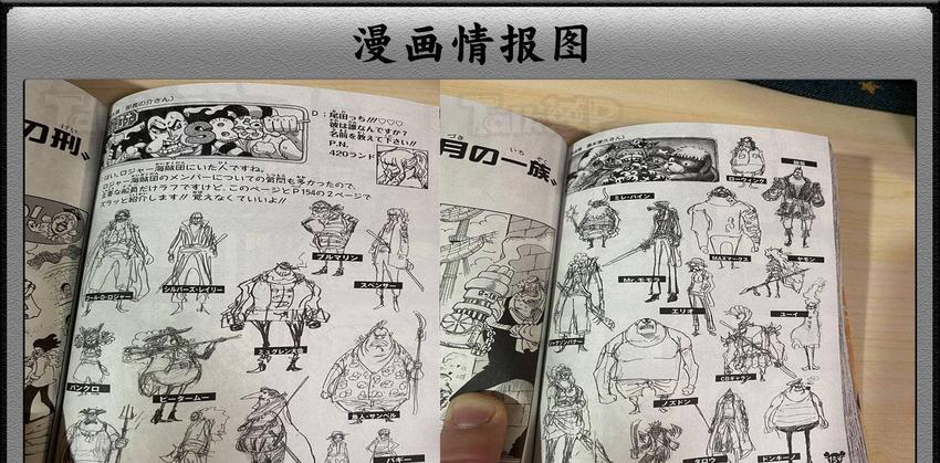 海贼王罗杰海贼团全员公布，共计28人，漫画中都一一对应