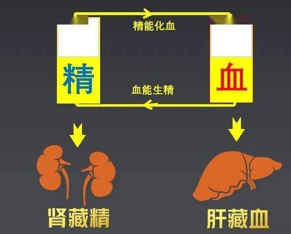 血虚精亏？补血益气、生精固本，1个小方，补血养精