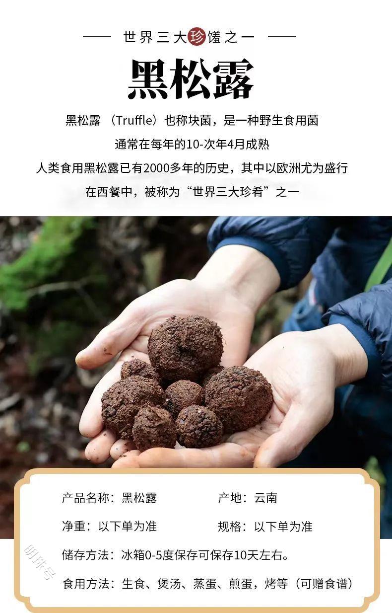 唐山山叶口景区发现植物界的“黑钻石” 为东方甄选河北行添彩