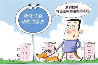 遇到不文明养犬行为该怎么办？