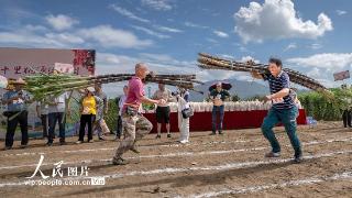 福建永春：举行蔗农趣味运动会