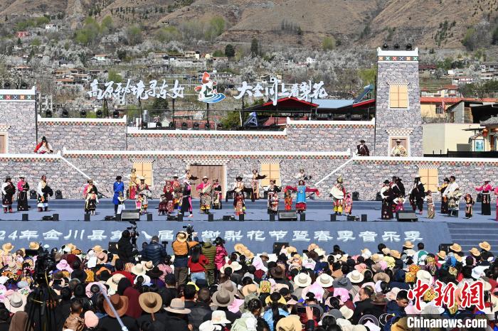 四川金川第八届古树梨花节开幕