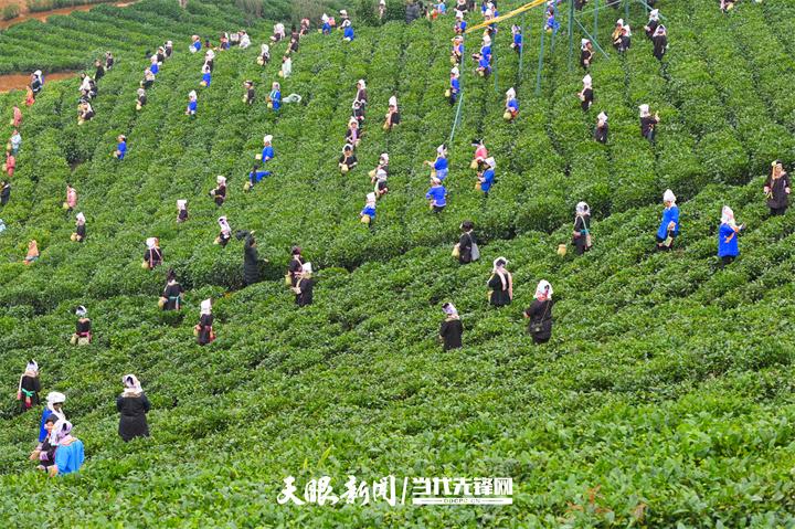 游云上展馆 看多彩贵州丨夯实“三农”基础 赋能乡村振兴