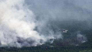 加拿大林火季刚过半 已创数项最高纪录