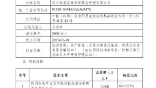 *ST金科重整 四川发展证券基金成投资人