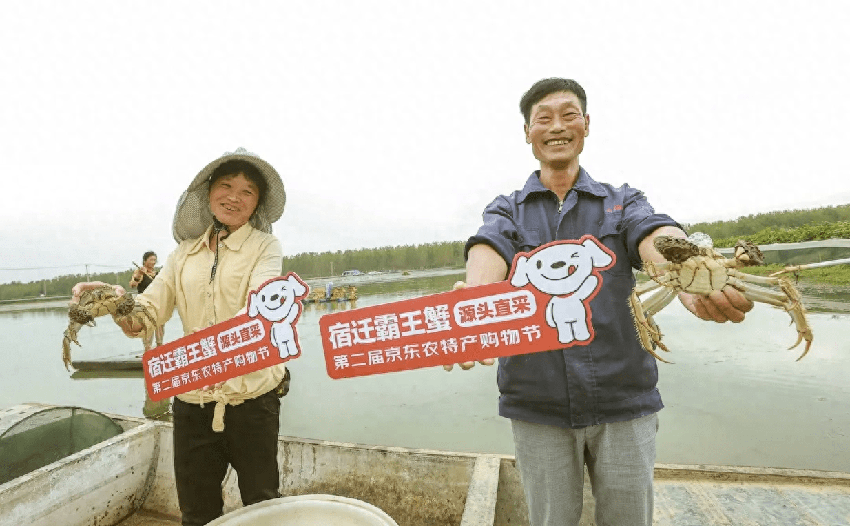 超1斤的大闸蟹见过没？宿迁霸王蟹，尽在京东