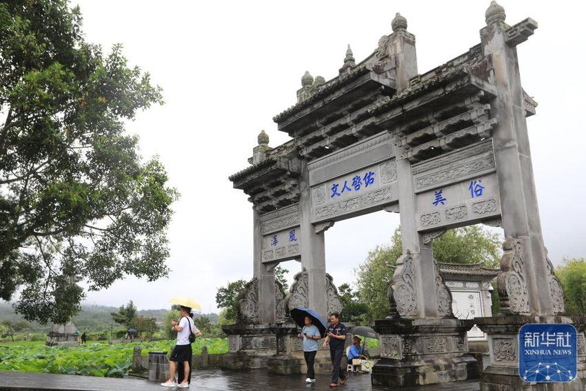 夏日乡村美景引游人