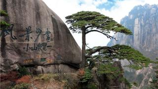 黄山景区：直播导游员可享免费简餐和住宿优待，半年观看量需百万