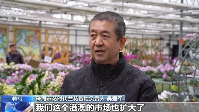 为居民送去春天的芬芳 看澳门“花先生”如何搭上政策快车