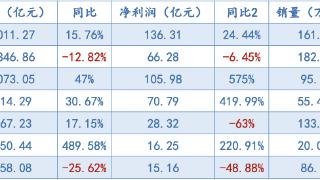 七大上市车企上半年成绩单：比亚迪营收夺冠，赛力斯成黑马