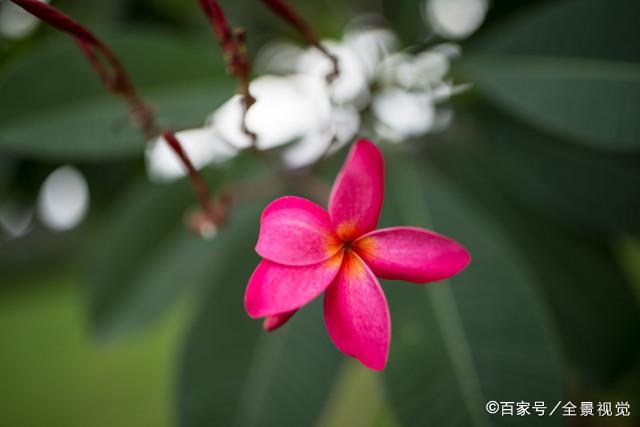 好命的女人，三不说，越不说越有福气