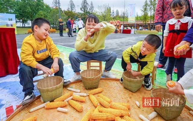 武汉东西湖举办农民丰收节，趣味活动精彩纷呈