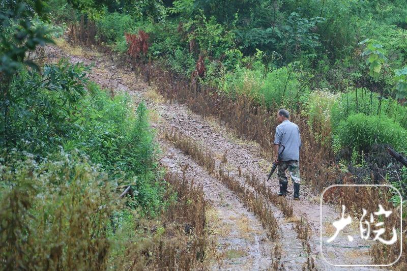 易厚掌：39年掌纹刻岁月，绿化荒山守绿梦