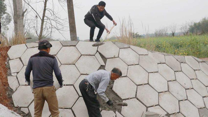 盘活土地闲置资源变“金山银山” 四川自贡沿滩三河村集体经济年收入今年预计达320万元