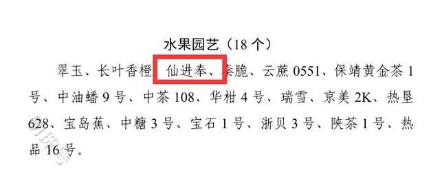 全国唯一荔枝品种！增城仙进奉入选“2023年农业主导品种”