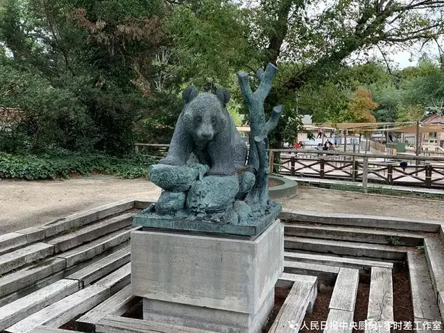 5只旅居西班牙的大熊猫将于近期回国，一对新的大熊猫将续写中西熊猫情缘