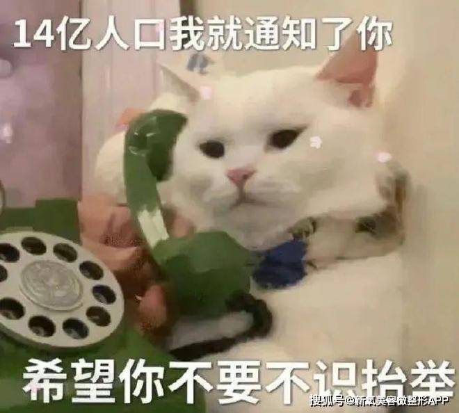 起猛了…看见她想跟前夫上恋综？