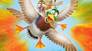 可爱！好莱坞动画新片《飞鸭向前冲》曝中国独家预告 12月8日中国内地上映