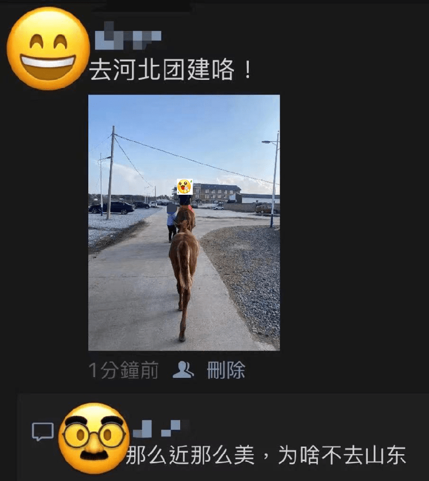 打工人的团建鄙视链，环球影城都快排不上号