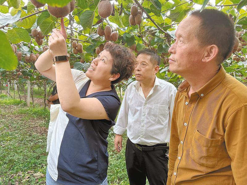 把一颗“果”做成一条“链”