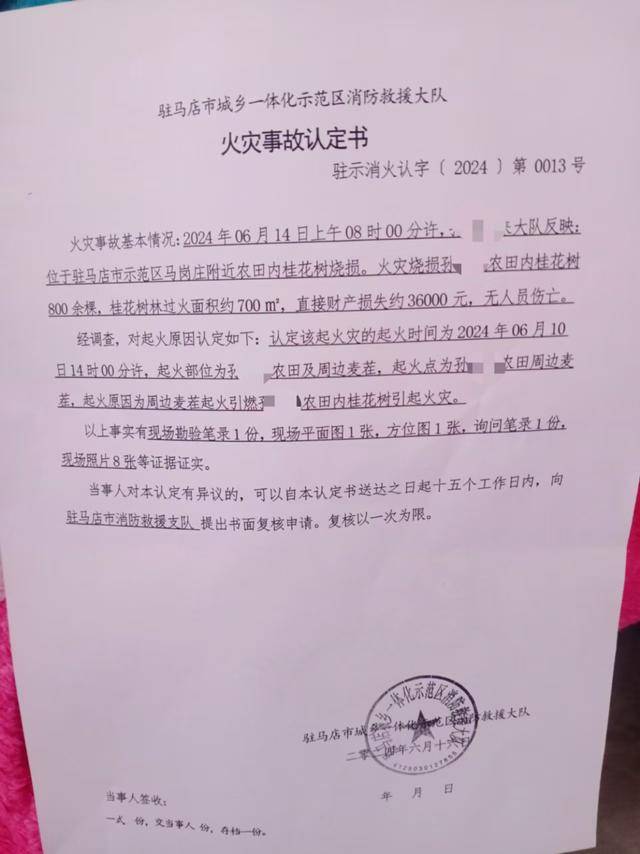 群众近千棵桂花树被烧死，为何不立案？驻马店回应