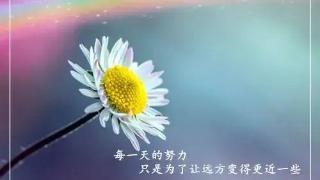 《我的前半生》：凌玲到死都不知道，同样嫁给陈俊生，为啥罗子君花80000买鞋，她就只能端洗脚水