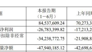 永信至诚上半年亏损现金流连负 2022年上市募资5.76亿