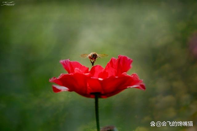 64岁的丧偶大爷：有一个啃老的儿子，好想逃离，可又无处可去