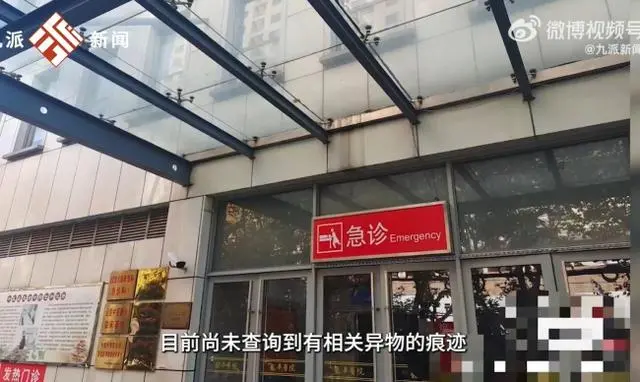 花2500元住上海外滩酒店，熟睡时被蛇咬，酒店仅赔300元