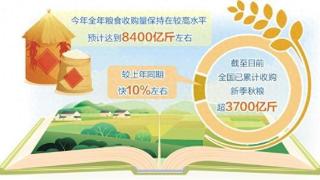 全年粮食收购预计达8400亿斤左右——做好粮食流通大文章