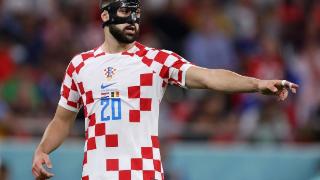 格瓦迪奥尔：2018年我看了克罗地亚在世界杯中的所有比赛