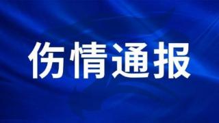 达尼洛-阿沃莱达股二头肌内侧区肌腱损伤，预计恢复时间6周