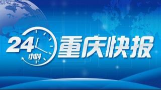 巫镇高速全线贯通｜“洪磁线”“凤磁线”观光轮渡今起恢复正常运营