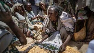 埃塞俄比亚人在饥饿中等待“救援重启”