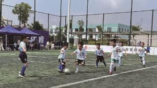 上千萌娃角逐2023温州幼儿足球联赛