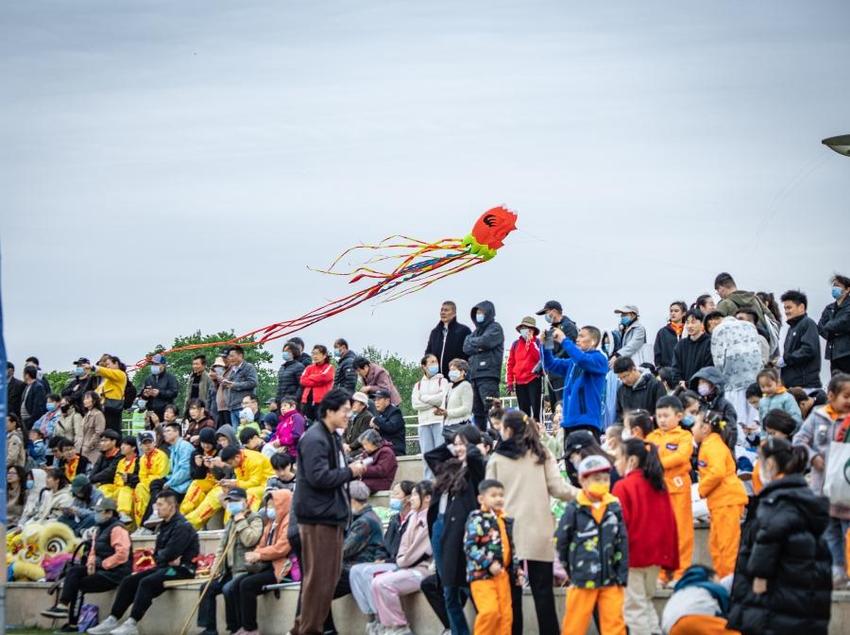 徐州市云龙区举办第六届大龙湖风筝节