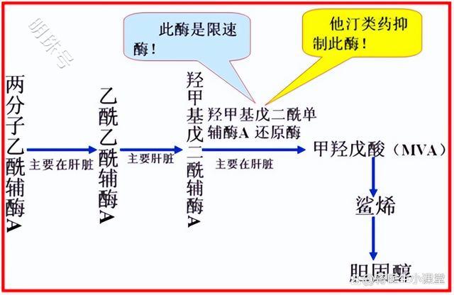 长期服用阿司匹林和阿托伐他汀钙会导致心绞痛吗？一文揭晓答案