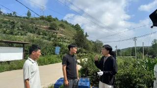 助力乡村振兴——山东省地矿局八〇一队积极服务沂源县大张庄镇土地质量调查项目