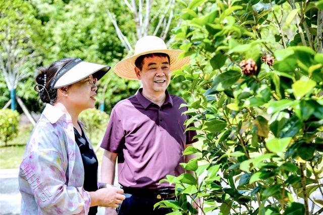 厚植生态“绿色家底”，新洲区持续推进村增万树亮点村建设