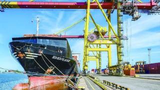 两国首条北极航线集装箱班轮启动，中俄贸易增加运输“大动脉”