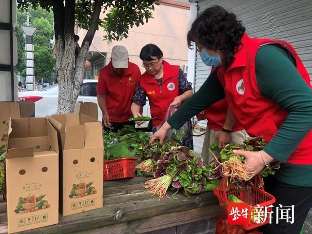 公益菜园传递大幸福 “小美”助力乡村“大美”