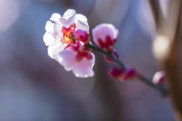 未婚姐姐真敢说：不结婚只交朋友，没做小三，我有什么错呢