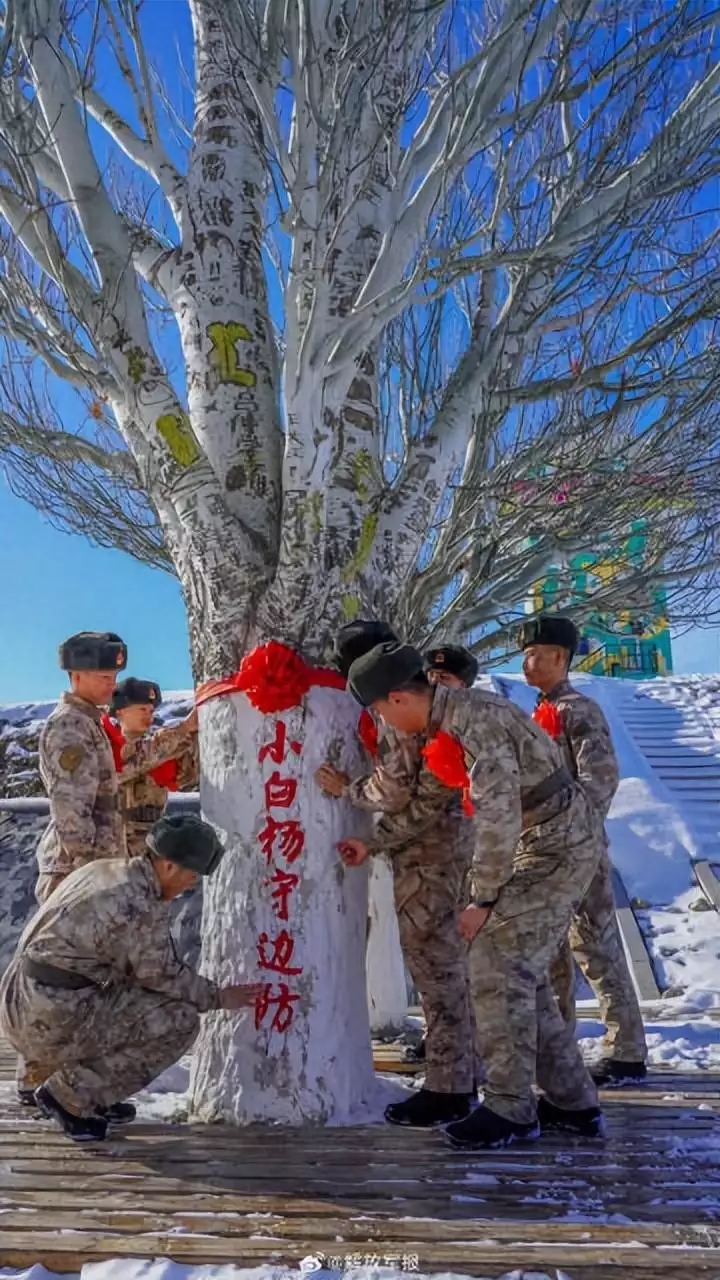 再见了，小白杨！再见了，军营！