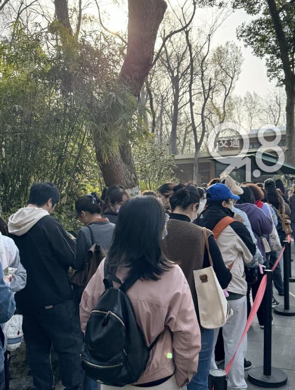 杭州动物园熊猫爱好者“春生”的生日祝福