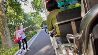 高温天，上海动物园的游览车为何在闭园前一个多小时“下班”？