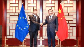 王文涛就欧盟将对中国电动汽车发起反补贴调查表达严正关切和强烈不满