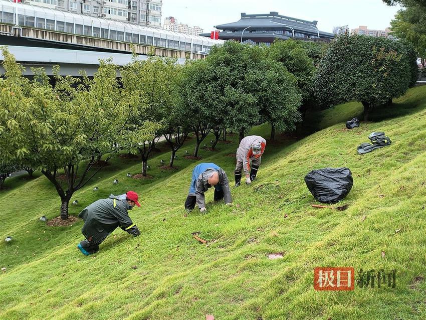 “数说”武昌城管人的国庆长假