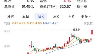 重庆A股58家上涨 莱美药业20%远达环保10%涨停