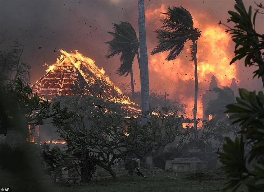 美国夏威夷山火已致36人死亡，14人跳海逃生