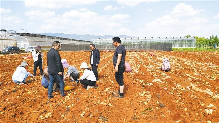 让高原特色种植业跃上理想新高地